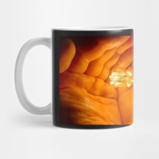 I give you the light Mug